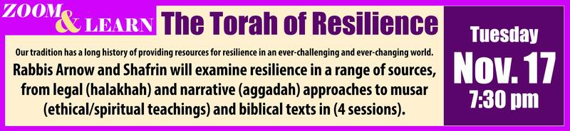 Banner Image for The Torah of Resilience